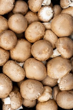 Portre Orientat 'taki Taze Şampiyon Mantarları Genel Görünümü