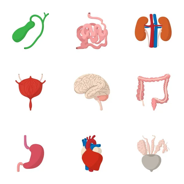 Mänskliga organ ikoner set, tecknad stil — Stock vektor