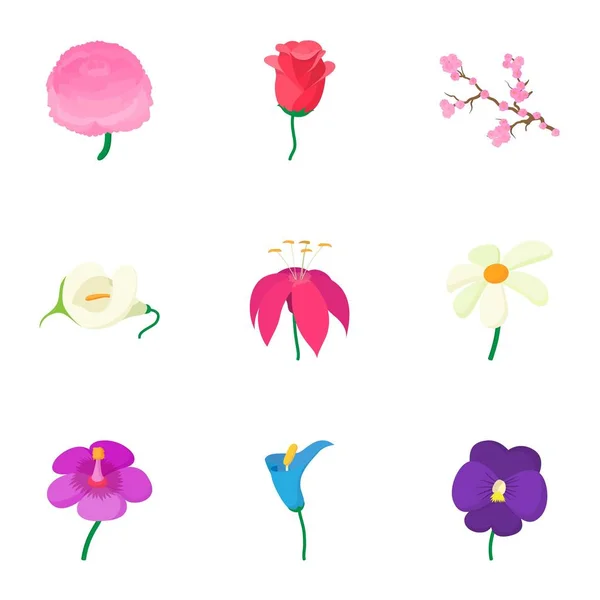 Tipos de ícones de flores conjunto, estilo dos desenhos animados — Vetor de Stock