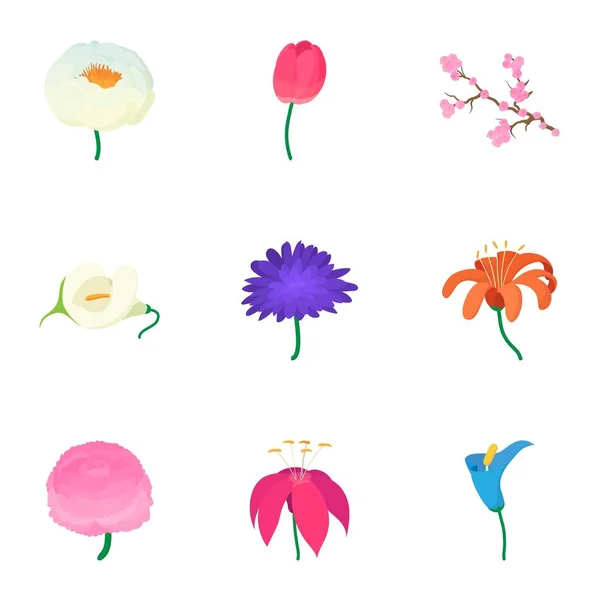Conjunto de ícones de flores de primavera, estilo cartoon — Vetor de Stock