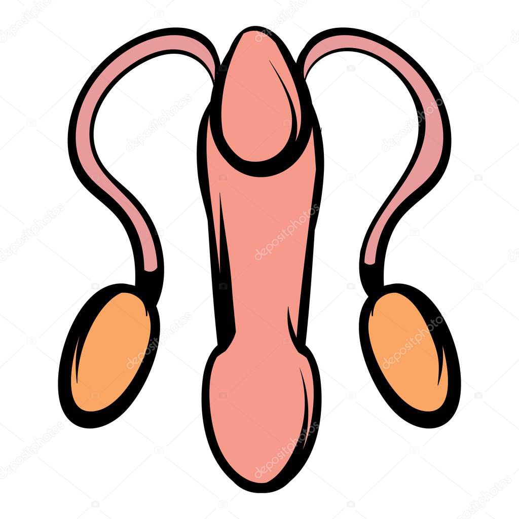 Male reproductive system icon, icon cartoon