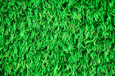 yeşil çimen dokusu arkaplanı