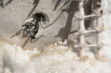 El yapımı Noel dekorasyon