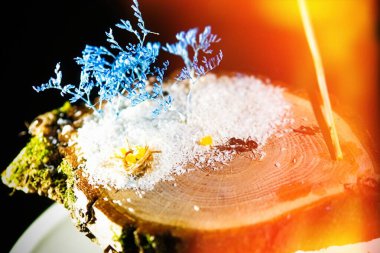 El yapımı Noel dekorasyon