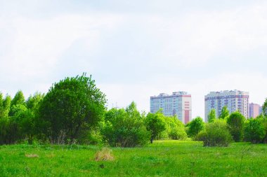 Yeşil bahar ve yaz manzarası