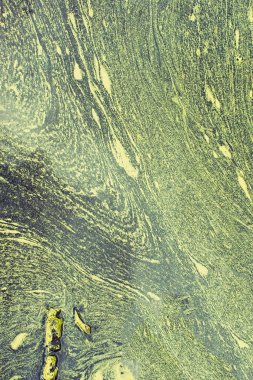 Çevre ve yağmur suyu kirliliği 