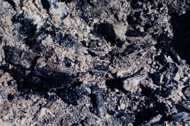 Kamp ateşinin közleri.