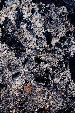 Kamp ateşinin közleri.