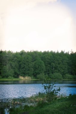 Rusya 'da yaz suyu manzarası