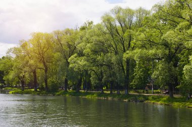 Rusya 'da yaz suyu manzarası