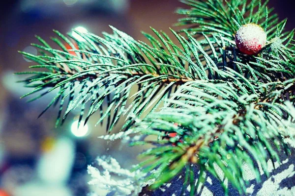 Composizione dell'albero di Capodanno — Foto Stock