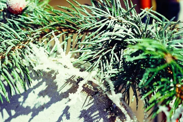 Composizione dell'albero di Capodanno — Foto Stock