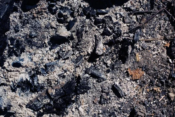 Verbrannte Glut eines Lagerfeuers — Stockfoto