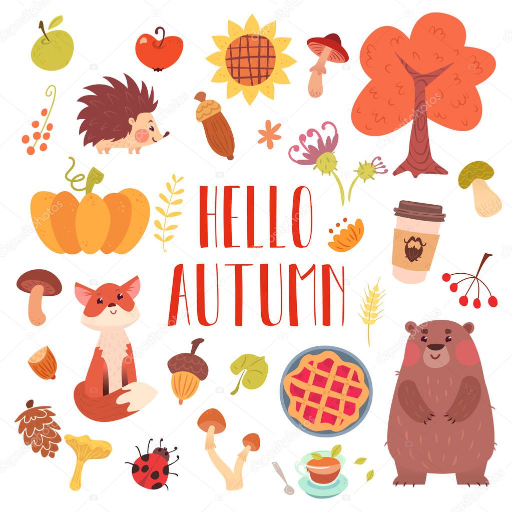 Hello autumn cute animals and attribute set.