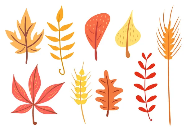 Simple conjunto de hojas planas de otoño — Vector de stock