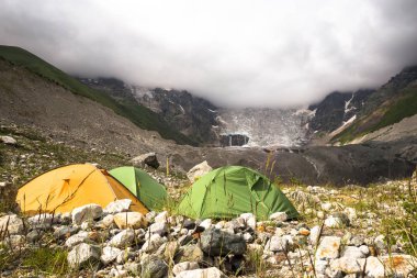 Renkli yaz manzara wint çiçek Geongia dağlarda