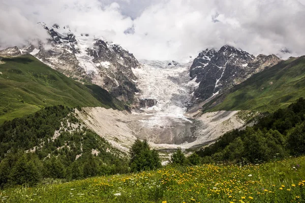 Paisagem de verão colorido flores sílex nas montanhas Geongia — Fotografia de Stock