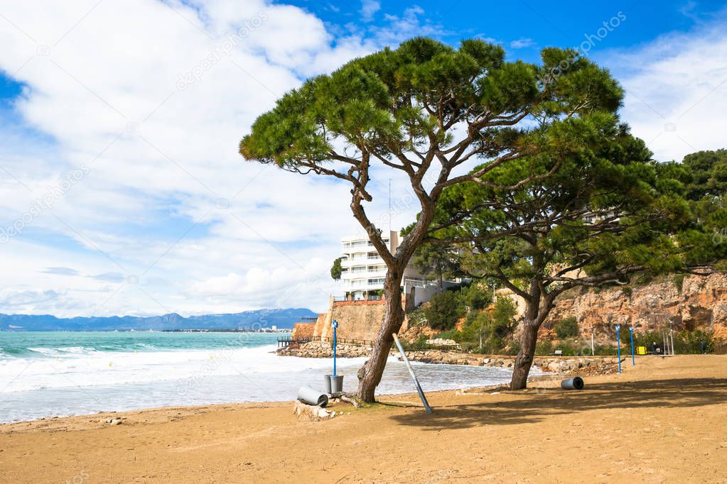 Coastline Costa Dorada, Salou, Spain. Beautiful sea and palms