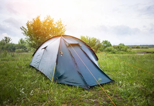 Campo de tendas em pé na floresta. Gramado verde luzes da manhã ensolaradas — Fotografia de Stock