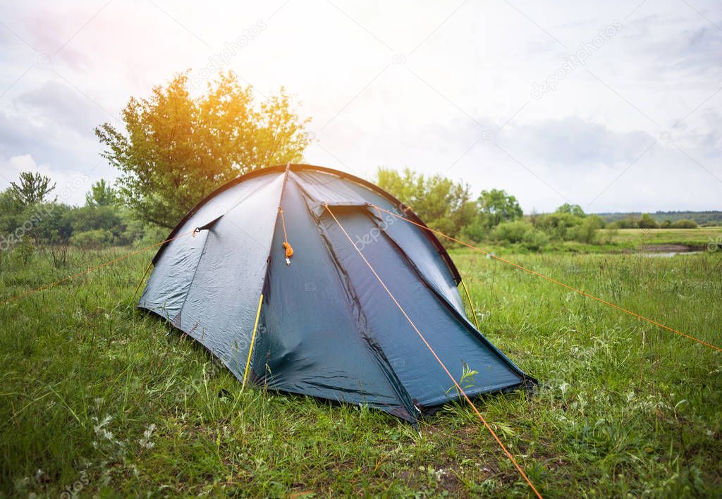 Tent camp standing in forest. Green grassat  sunny morning lights