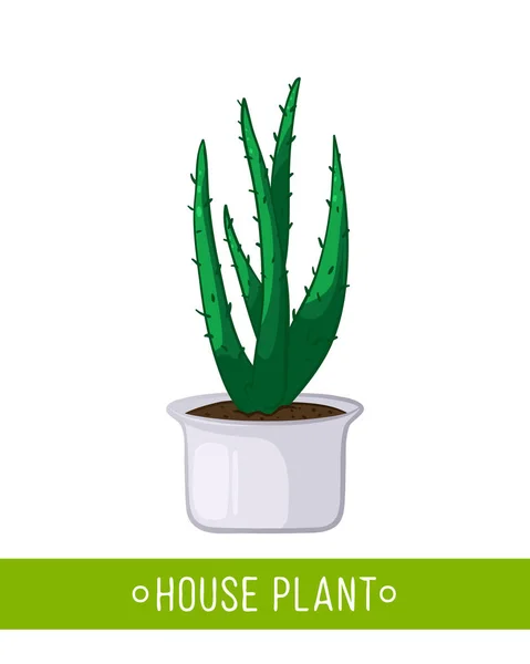 Plante maison en pot — Image vectorielle