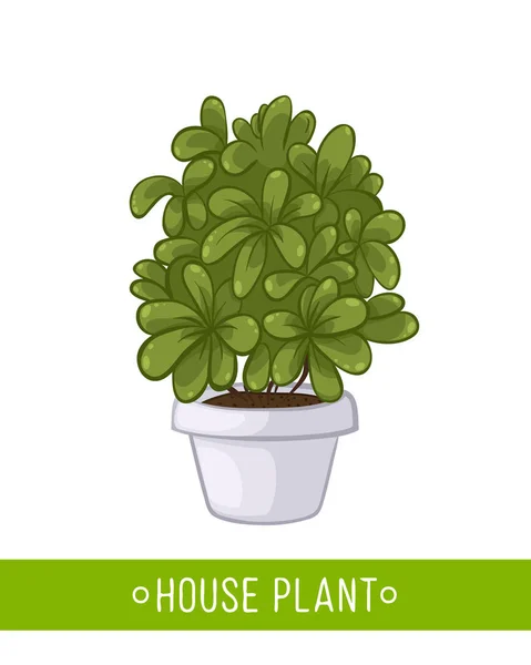 Plante maison en pot — Image vectorielle