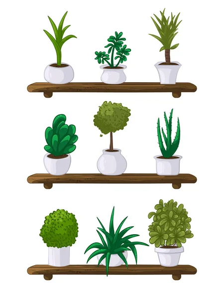 Inicio plantas conjunto — Archivo Imágenes Vectoriales