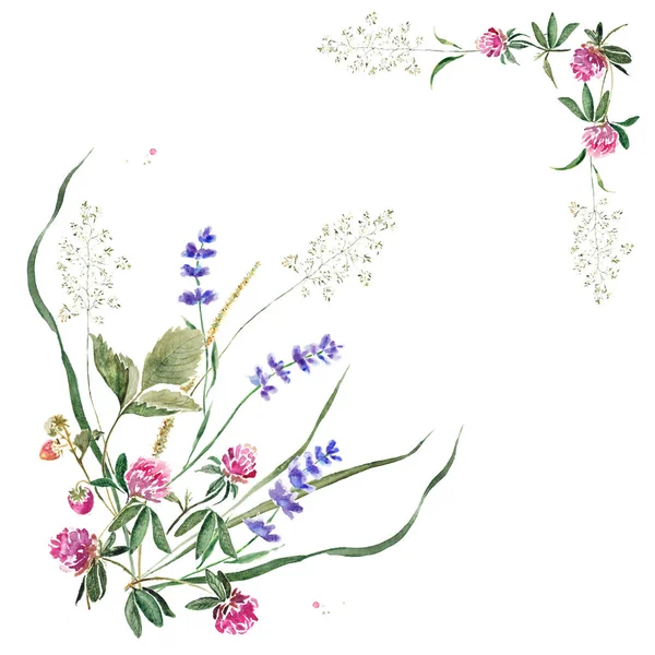 Zarter Sommerrand mit Blüten und Blättern von Klee, Lavendel, Erdbeere und Kräutern. Handgezeichnete Aquarellmalerei. — Stockfoto