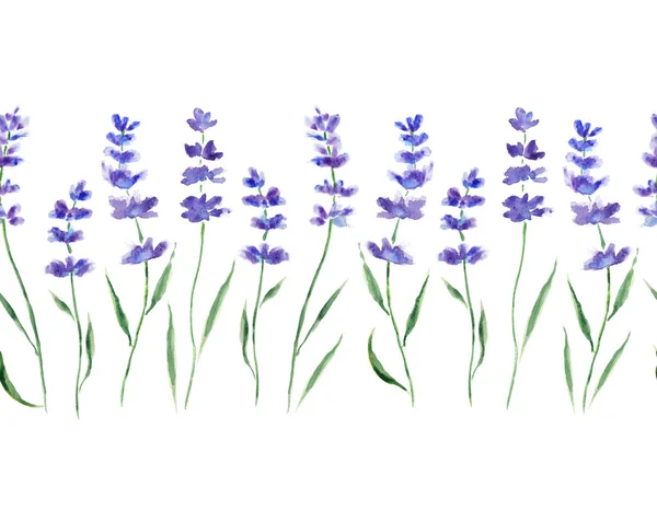 Lavender branches isolated on white. Seamless pattern. Original watercolor painting.