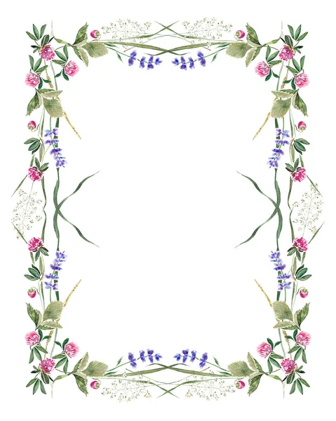Delikatne summer ramka z kwiatów i liści koniczyny, lawenda, truskawka i ziół. Ręcznie rysowane malarstwo akwarela — Zdjęcie stockowe