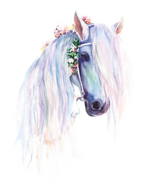 Μπλε Άλογο Λουλούδια Χαίτη Πρωτότυπη Ακουαρέλα Ζωγραφική — Φωτογραφία Αρχείου