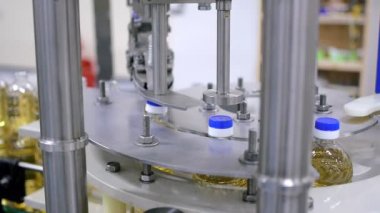Üzerindeki koymak bir fabrika üretim hattında devam şişe ayçiçek yağı