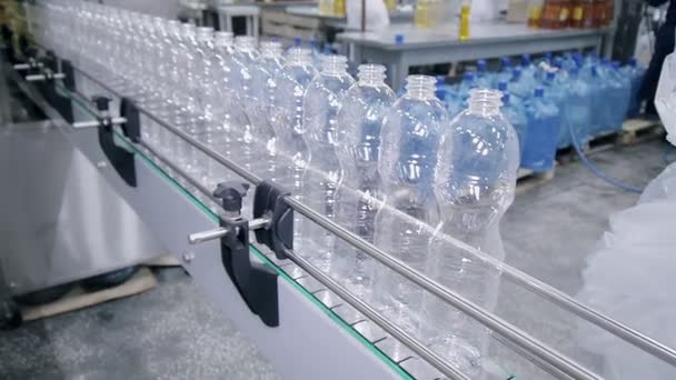Aceite de girasol en la botella que se mueve en la línea de producción en una fábrica — Vídeos de Stock