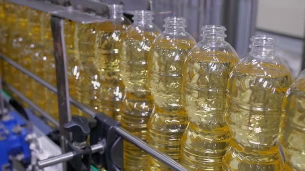 Sunflower oil in the bottle moving on production line in a factory — Stock Video