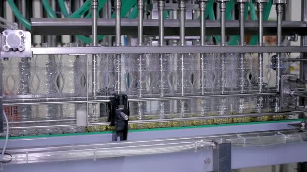 Óleo de girassol na garrafa movendo-se na linha de produção em uma fábrica — Vídeo de Stock