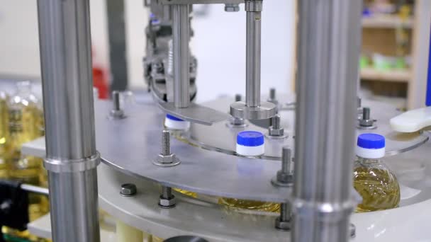 Ηλιέλαιο σε μπουκάλι κινείται σε γραμμή παραγωγής στο εργοστάσιο τεθεί σε καπάκια — Αρχείο Βίντεο
