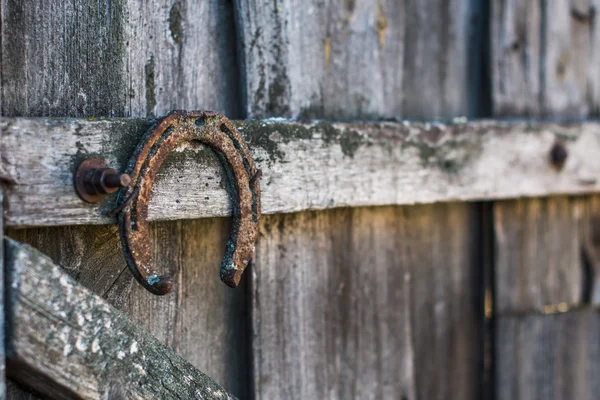 Vecchio ferro di cavallo arrugginito — Foto Stock