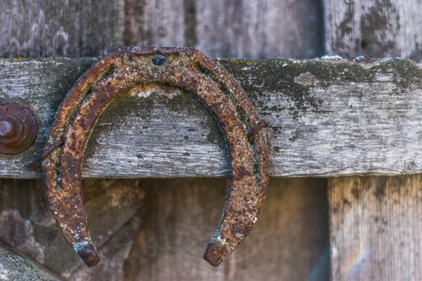 Viejo herradura oxidada — Foto de Stock