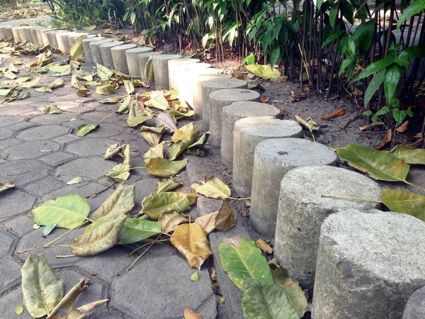 Silindirik çimento bir ağaç bloğu oluşturdu.