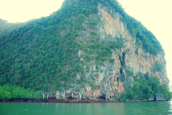 En medio de la naturaleza y el vasto río . — Foto de Stock