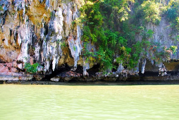 En medio de la naturaleza y el vasto río . — Foto de Stock