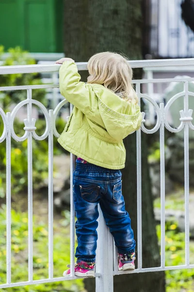 Meisje kijkt over het hek — Stockfoto
