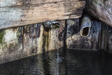 Dağlarda doğal su kaynağı. Ağaç kabuğundan ayrılıyor.