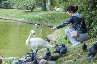 O beslemeleri kuğular, yaban ördekleri, güvercinler.