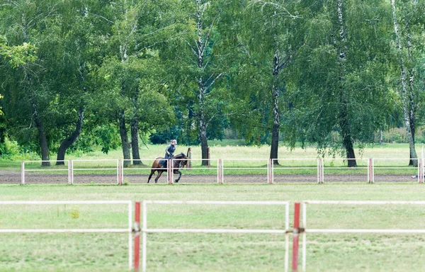 Escuela de equitación para caballos doma. Zona de juegos al aire libre — Foto de Stock