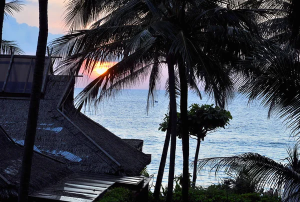 Sonnenuntergang an einem tropischen Badestrand mit Baumsilhouetten. — Stockfoto