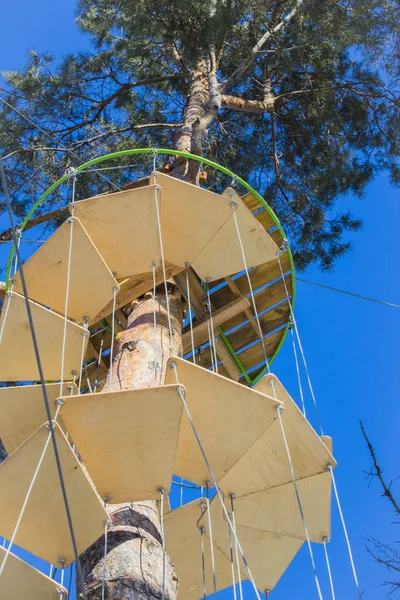 Erdő vagy a magas huzal park és a természet hegymászó kötél híd — Stock Fotó