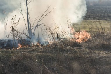 çim alan köy yakın yanıyor
