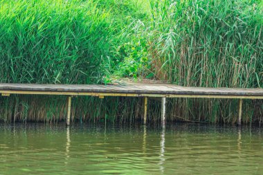güzel bir doğal göl kıyısında çim ile büyümüş bir ahşap iskele