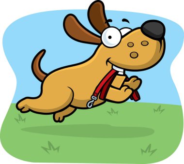 karikatür köpek kira kontratı